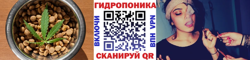 Печенье с ТГК марихуана  shop официальный сайт  Каменка 