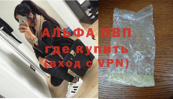 PSILOCYBIN Иннополис