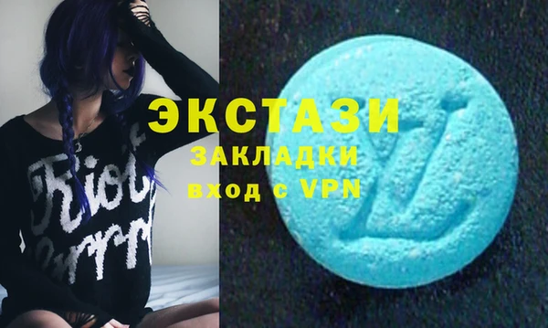 амф Каменка
