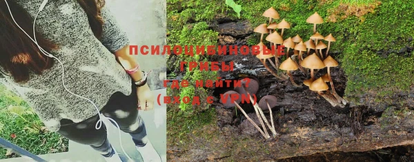 МДМА Каменногорск