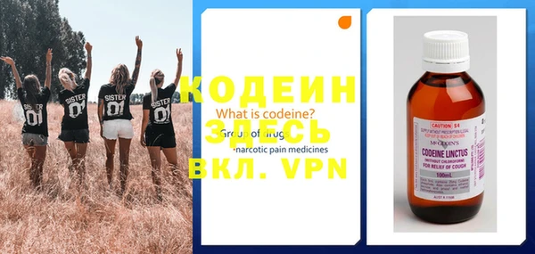 амф Каменка