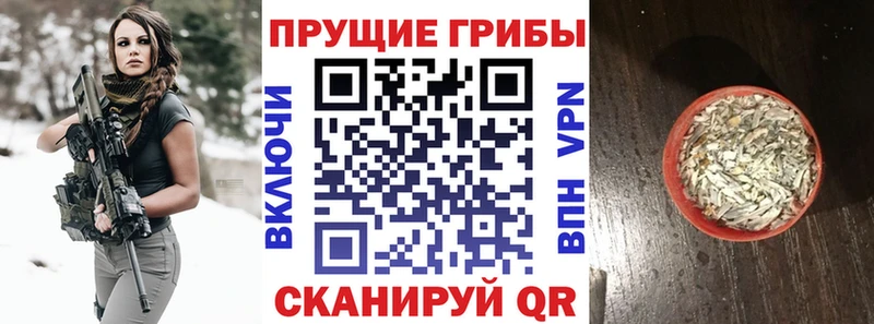 Псилоцибиновые грибы мухоморы  Каменка 